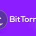 Bittorrent pro İndir – full türkçe – v7. 11. 0. 46857